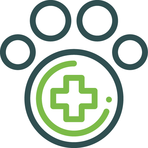 vetmnisek-ico-53